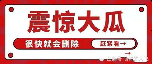 娱乐圈吃瓜合集文件